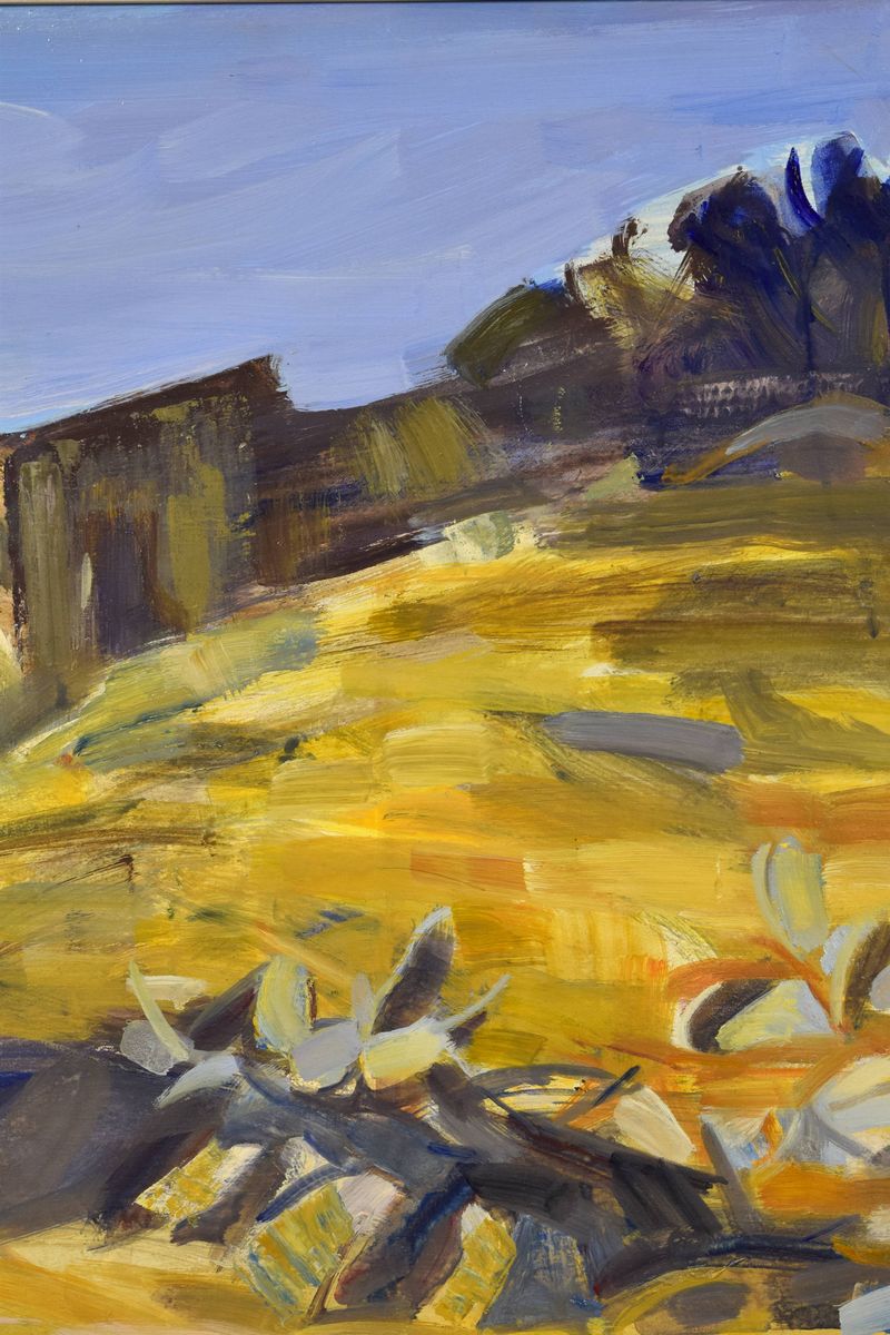 Paesaggio spagnolo