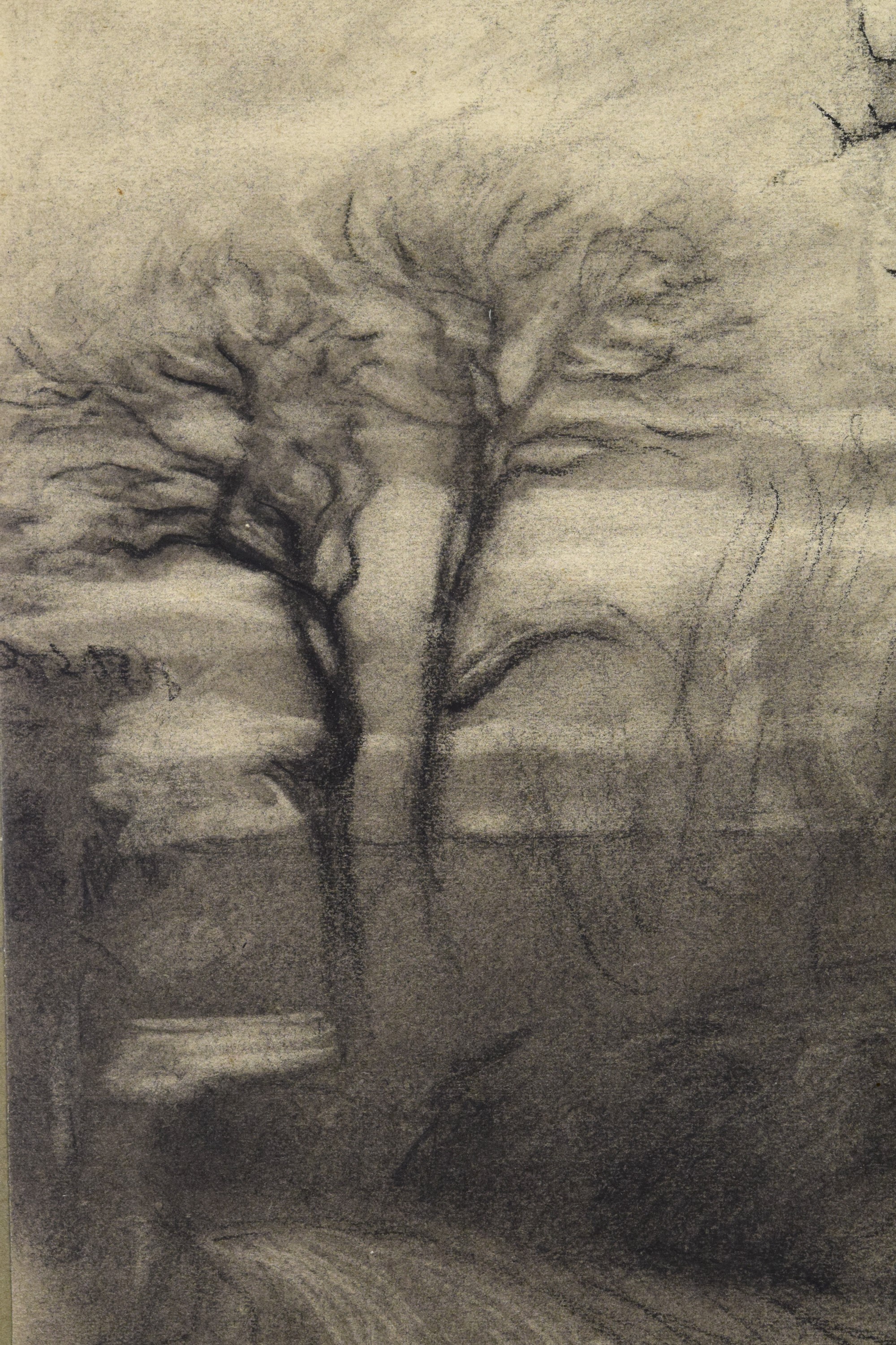 Paesaggio Invernale