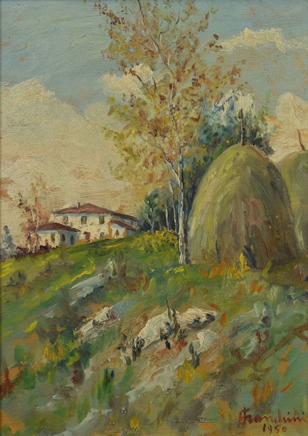 Bruno Franchini - Campagna toscana