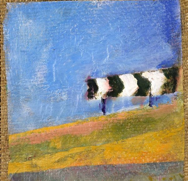Tonino Gottarelli - Il segnale allo scoperto
