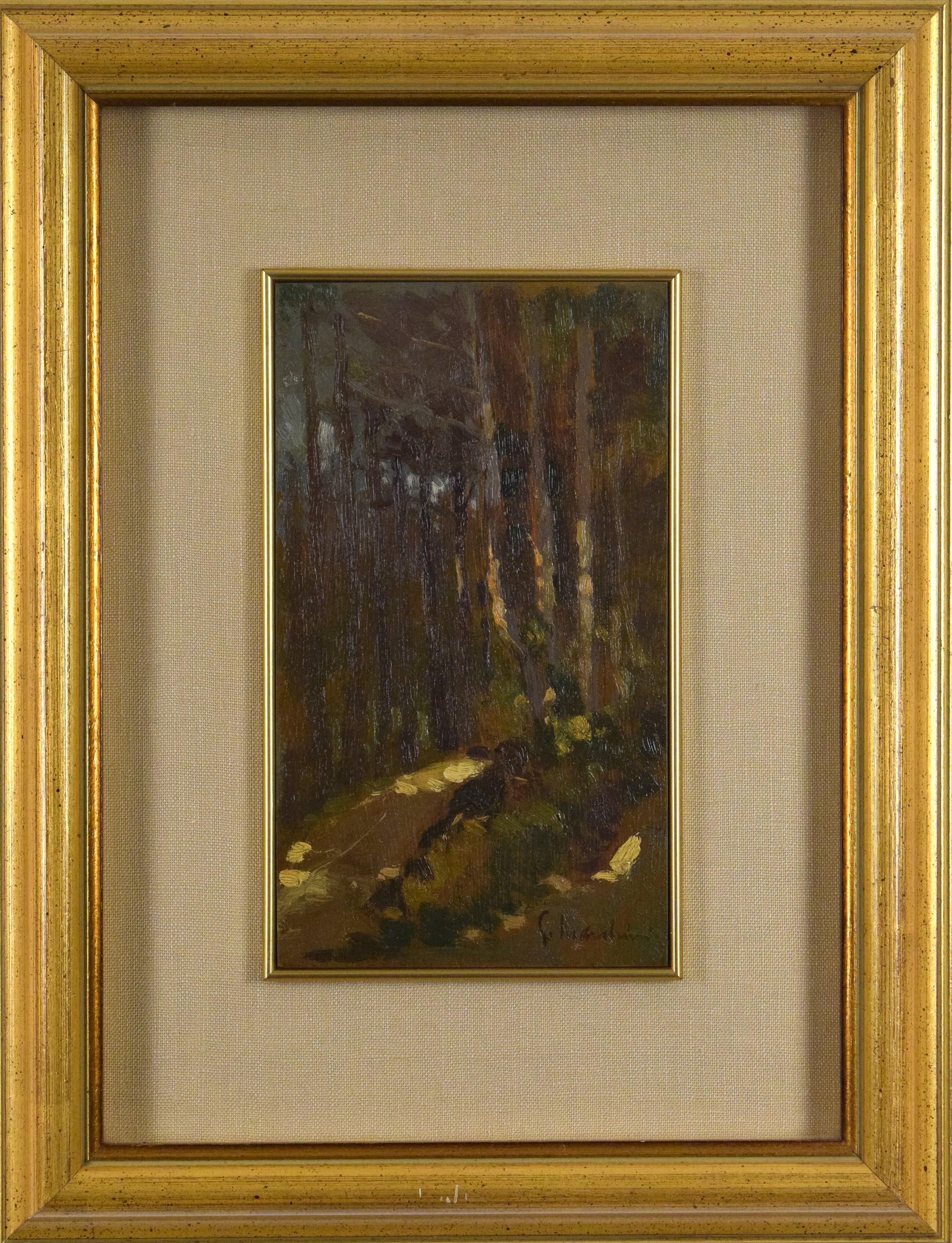 Il sentiero nel bosco