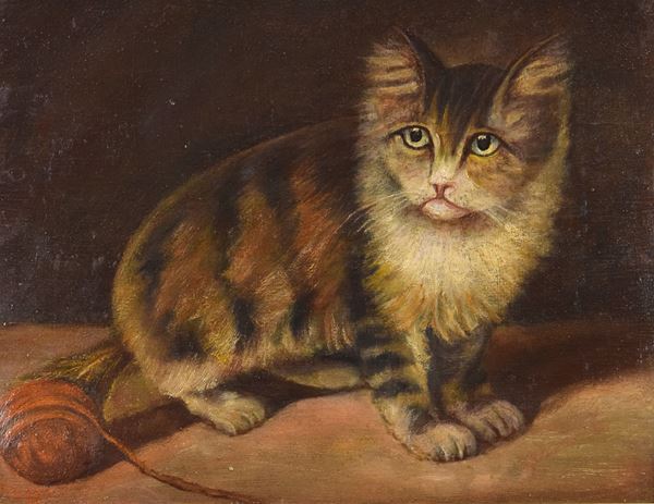 Pietro  Sassi - Gatto