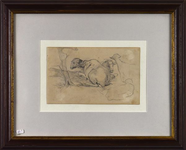 Giovanni  Marchini - Studio di pecore