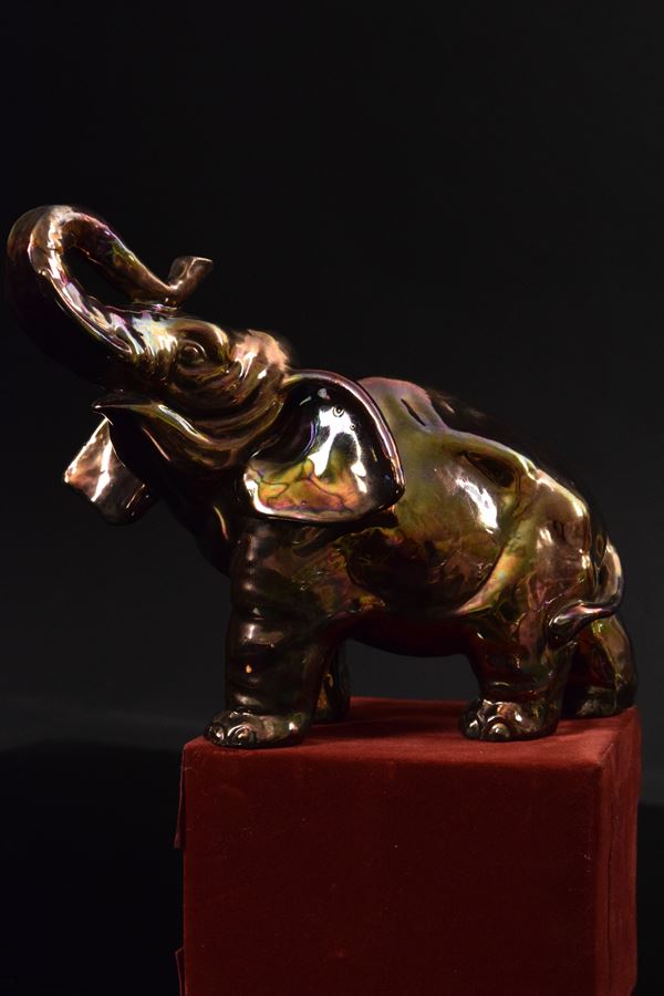 Riccardo Gatti - Elefante