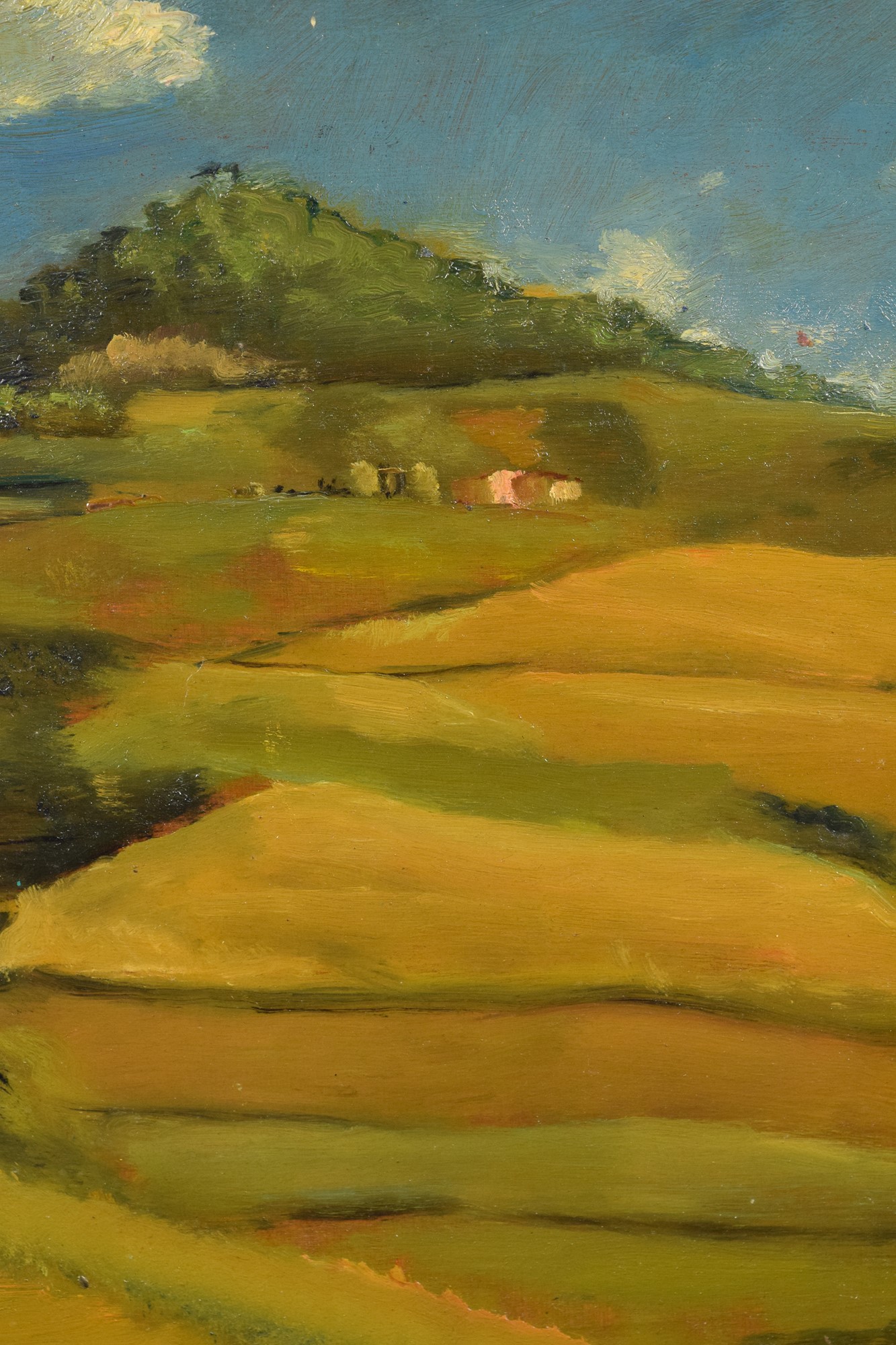 Dintorni di Brisighella