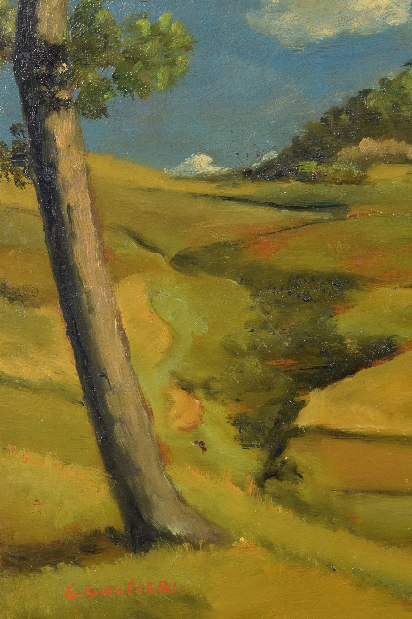 Dintorni di Brisighella