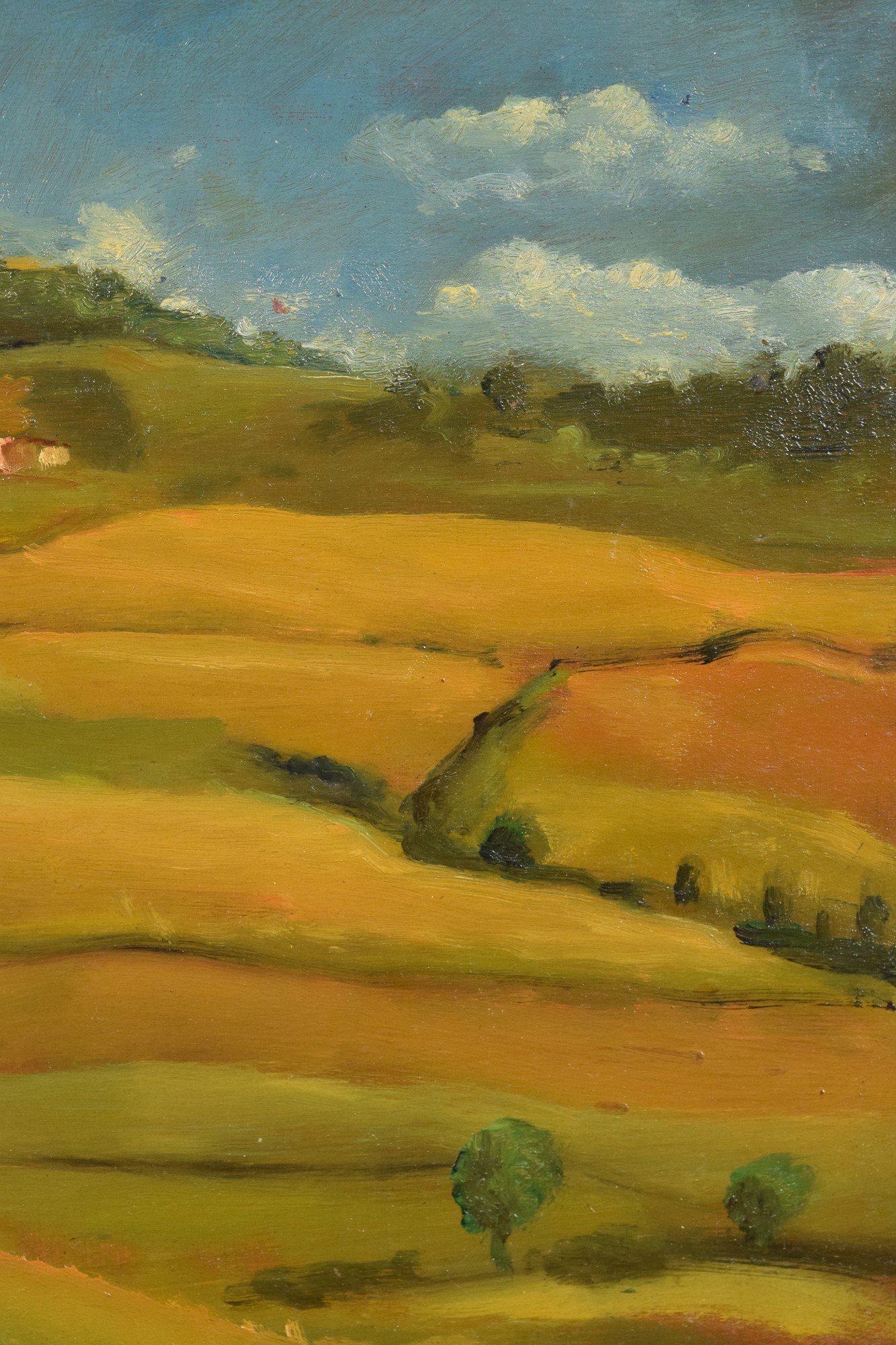 Dintorni di Brisighella