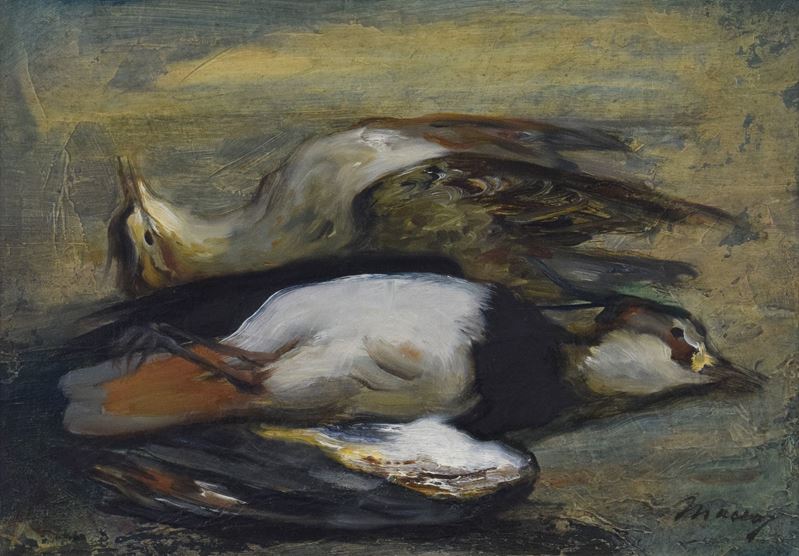 Pavoncella & Piviere