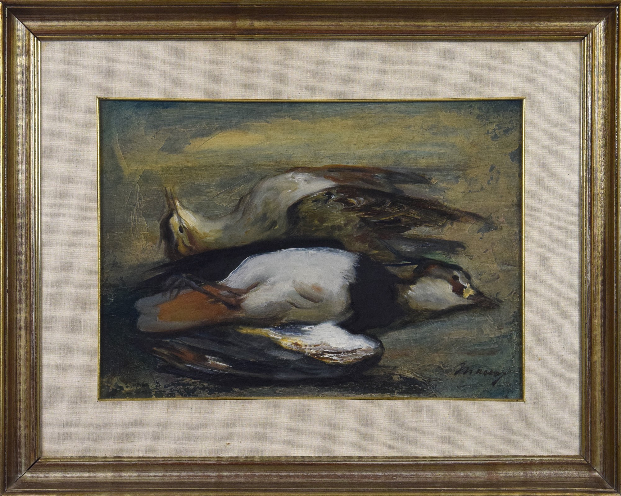 Pavoncella & Piviere