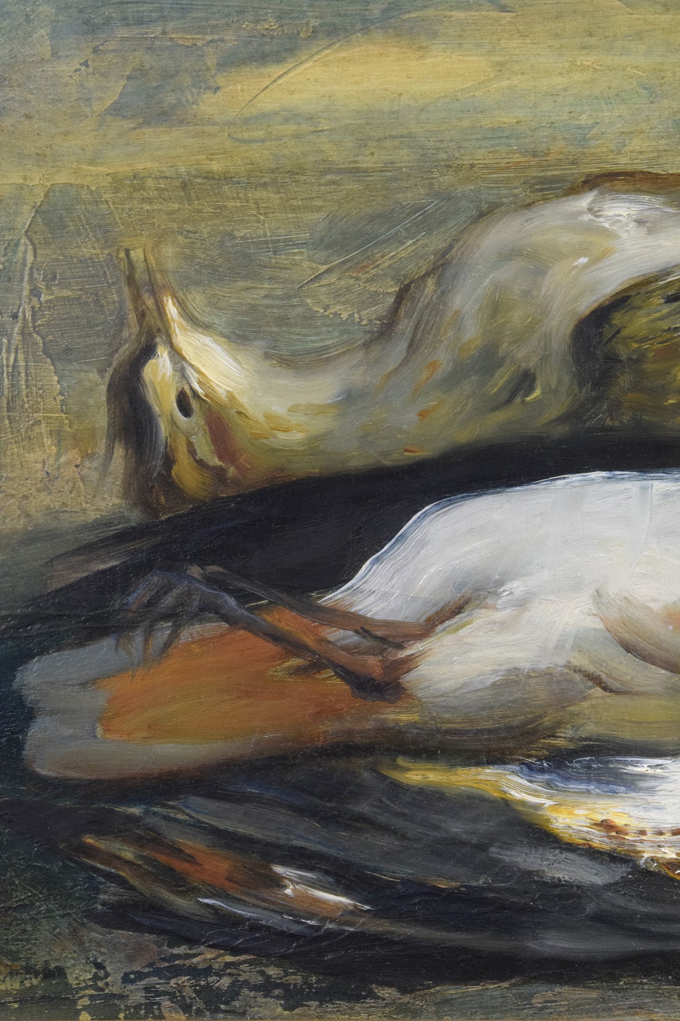 Pavoncella & Piviere