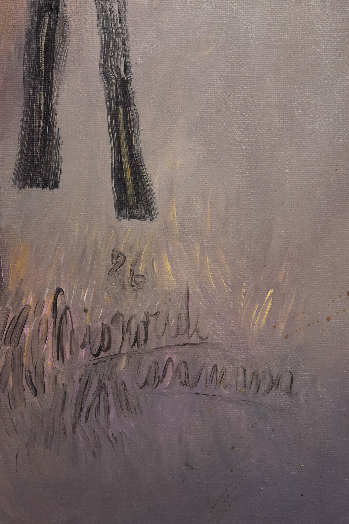 "Un pesce come segnale di divieto in periferia"