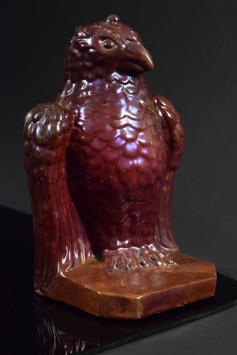 Aquila