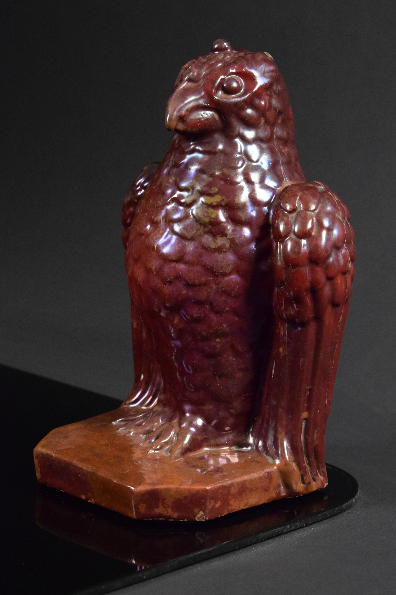 Aquila