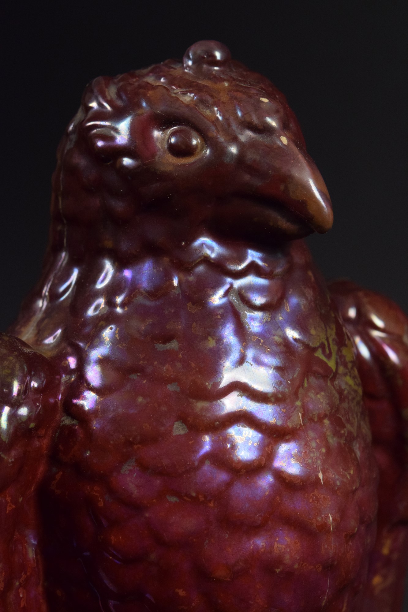 Aquila