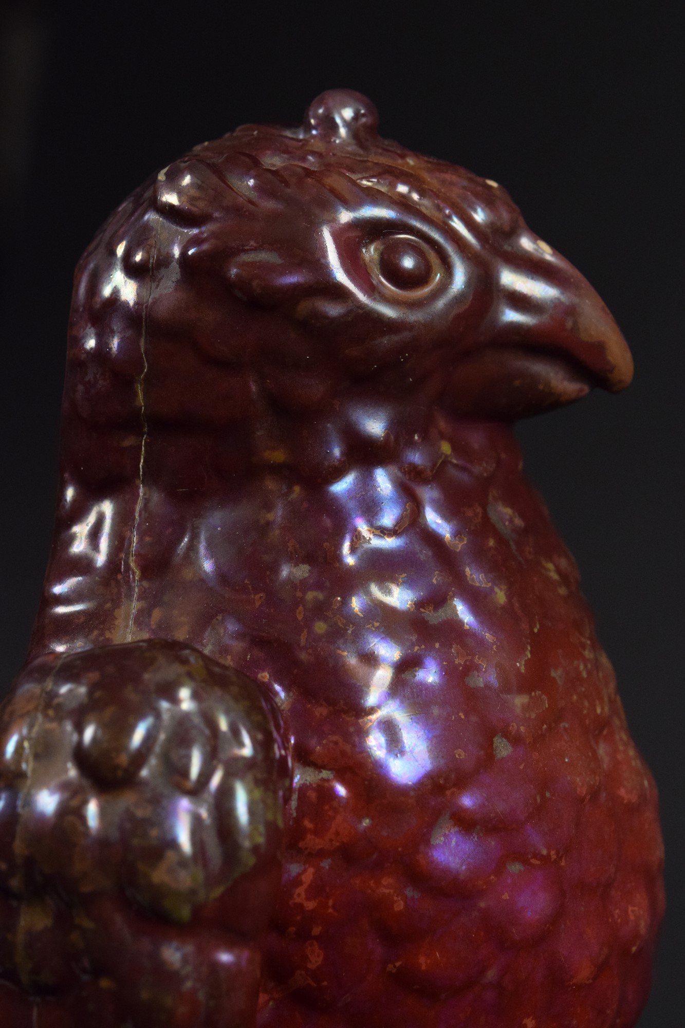 Aquila