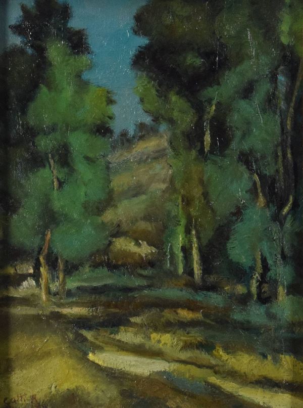Riccardo Gatti - Paesaggio